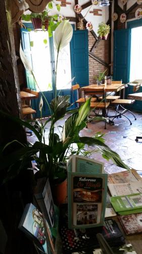 Hostal la Ninfa - image 11