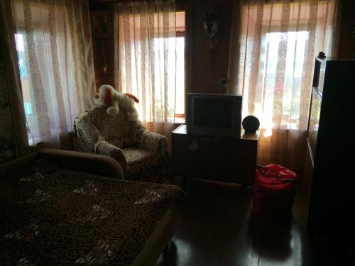 Holiday Home Tsentralnaya 17