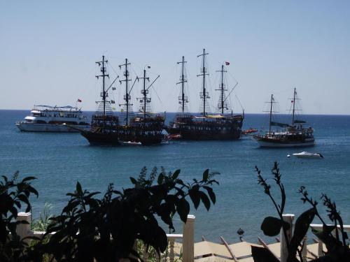 海滨居所酒店 海滨居所酒店