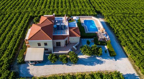 Cretan Vineyard Hill Villa