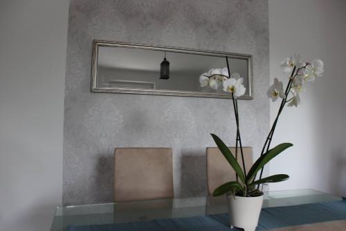  Harmony Delux Apartman, Unterkunft in Balatonboglár