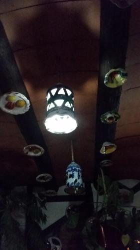 Hostal la Ninfa - image 14