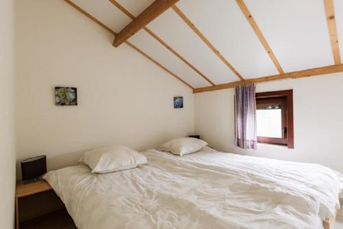 Zeegalm Bungalows - image 7