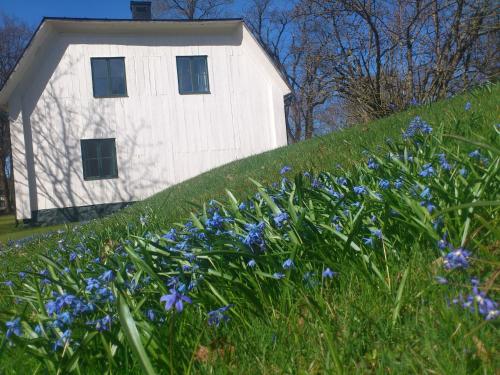 Hellefors Herrgård - image 11