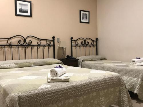 Guest accommodation in Madrid 