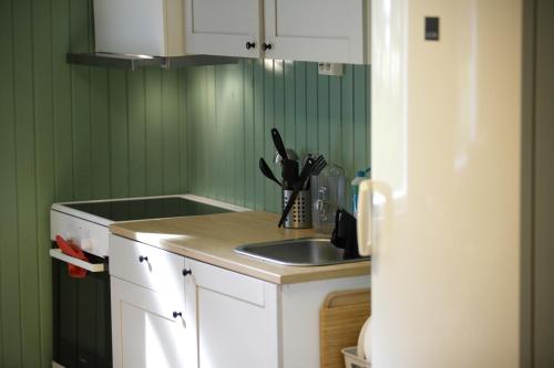 Instalaciones, Frya Leir in Ringebu