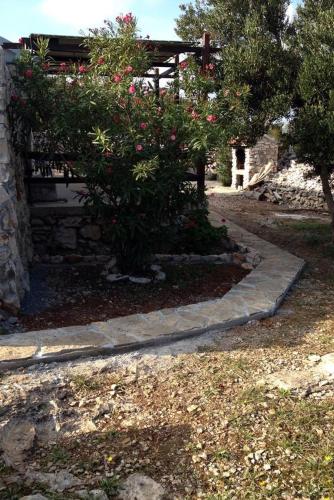 Secluded fisherman's cottage Cove Matuskovica Pasman - 11343 - image 8