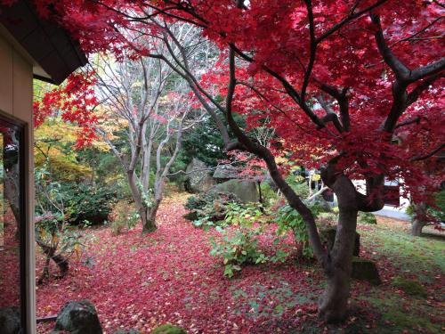 Garden, Kazen no Sho in Kuroishi