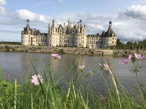 Chambre Du Chat Qui Dort Beaugency France Avis Et Prix Planet Of Hotels
