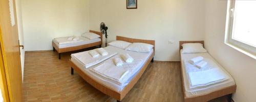 Guesthouse Soče - main image