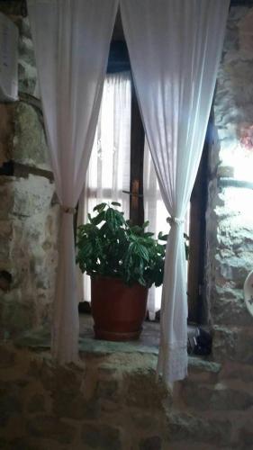 Bujtina Kodiket Guesthouse - main image