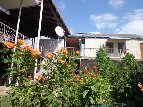 Anush`s B&B in Tatev