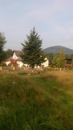 U Tří Koček - image 3