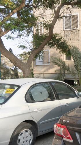 Exterior view, Dead Sea Yehuda Apartments in Arad