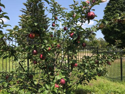 Eastover Estate and Eco Village – Lenox, MA