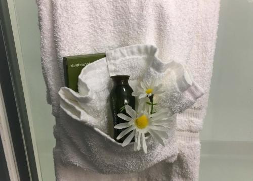 Gundersen Hotel & Suites