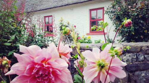 Rose Cottage, Doolin (fotografie 3)