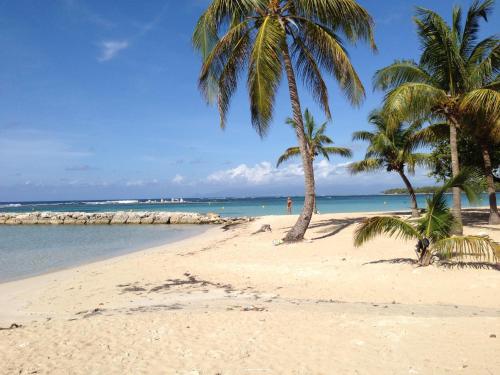 Lapayoma In Guadeloupe