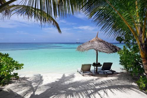 Gangehi Island Resort & Spa image 11
