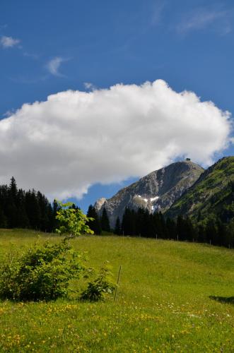 豪斯安雅酒店 豪斯安雅酒店