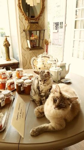 La Villa des Remparts - image 5