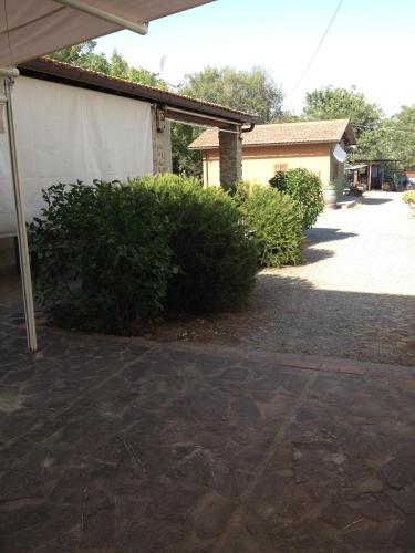 Agriturismo La Carletta - image 8