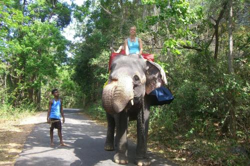 Risenlak Holiday Resort
