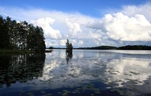 Tervakallio Camping - image 12