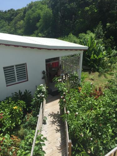 Les Gites de CASITA By kreyol animal
