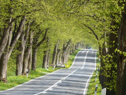 Fewo Rügen Böttger Fewo Rügen Böttger