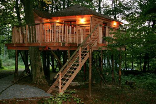 B&B La Cabane du Bois Dormant - image 8