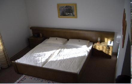 Hotel Haus Salzberg garni - image 12