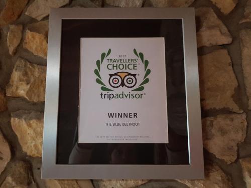 The Blue Beetroot - image 11