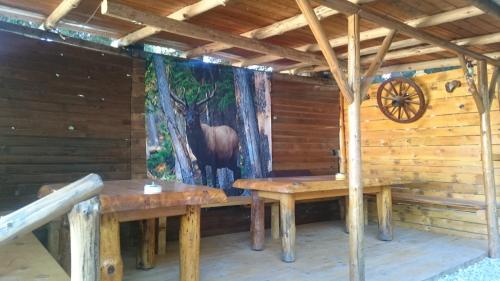 Malka Yurta Hut in 潘尼茨殊特