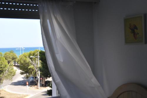 Palm Tree Cullera - image 5