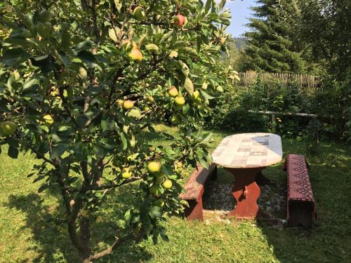 Kert, Pensiunea Gentiana in Marosfő