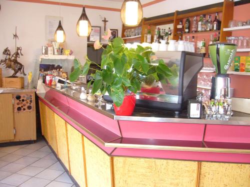 Gasthof Wastl - image 6