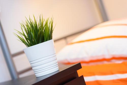 Constitution Square Rooms – Warsaw, WI