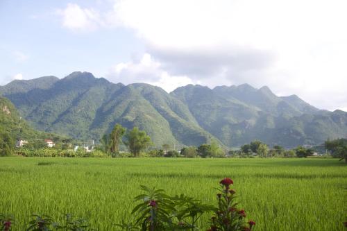 Mai Chau Countryside Homestay