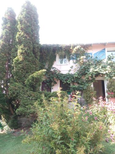 Pension Jana Tatrovice - image 7
