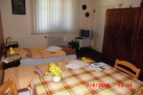 Apartman v secesni vile in Харрахов