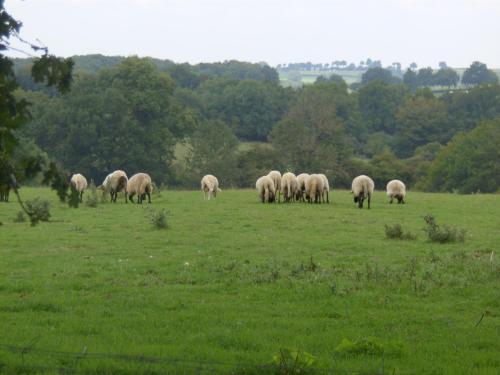 Domaine Le Bois de l'Espaud