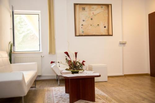 Hotel Germisara in Geoagiu Bai