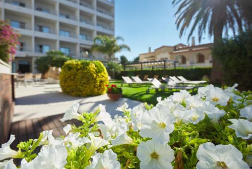 Hotel & Spa Terraza - image 2