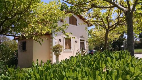  Roza's House, Unterkunft in Stamatopoulaíika