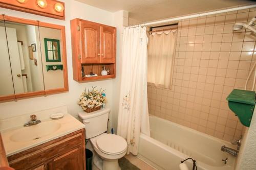 Alpine View Home - image 13