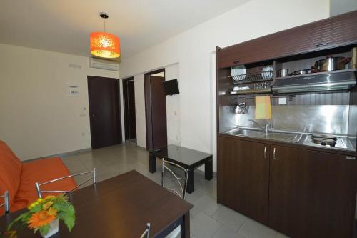 One-Bedroom Apartment image 10