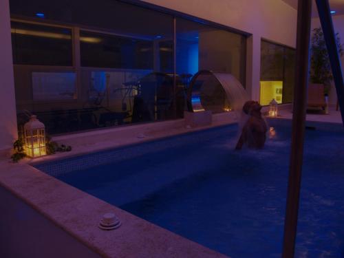 Hotel Airone in Grosseto