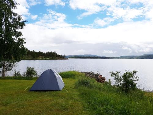 Måvikens Camping