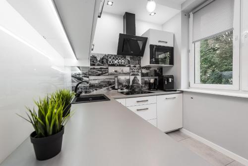 Apartament Silesian Vip in Zabrze